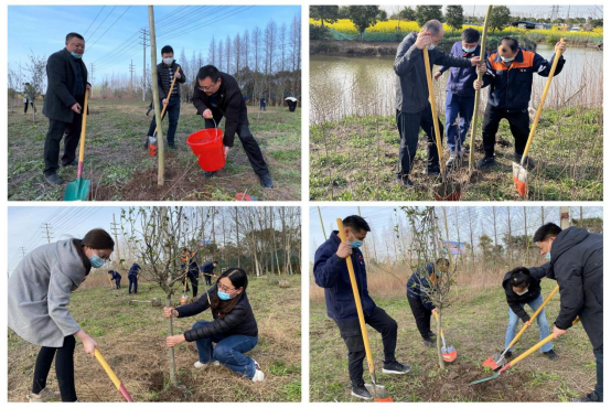 交通产业Ebpay如皋港板块召开“春风又绿江岸，绿色开展同行”主题党日活动